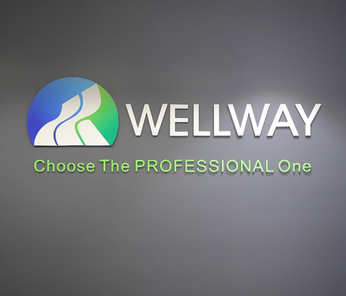 Wellway Development Goals