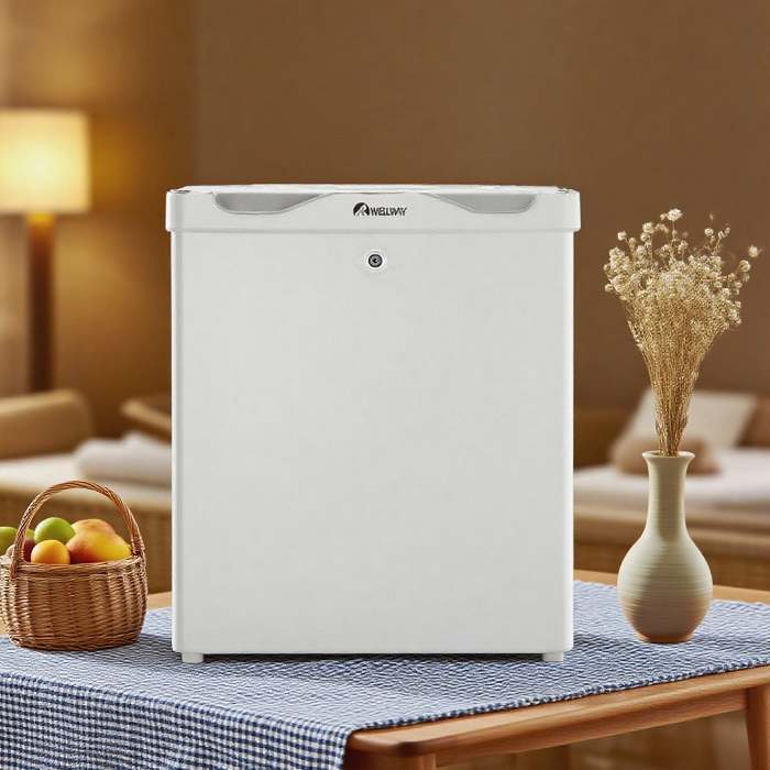 40L Single Door Hotel Mini Fridge-Homestay